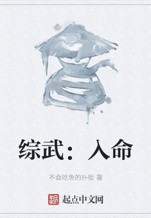 綜武：入命