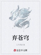 弃苍穹在线阅读