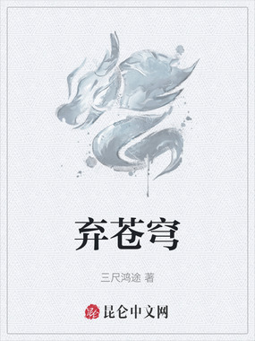 弃苍穹在线阅读