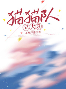 貓貓隊立大功
