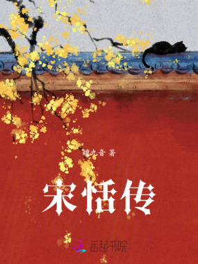 宋恬传在线阅读