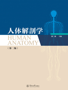 人体解剖学=Human Anatomy(英文·第二版)在线阅读