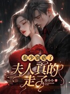 秦少别虐了,夫人真的走了在线阅读