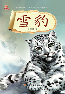 雪豹