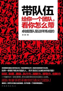 帶隊伍:給你一個團隊,看你怎么帶