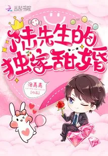 陆先生的独家甜婚 封面