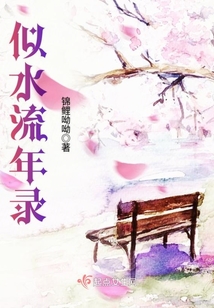 似水流年錄