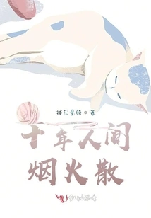 Ten Years of Fireworks in the World