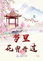 梦里花曾开过在线阅读