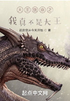 大王饶命之我真不是大王在线阅读