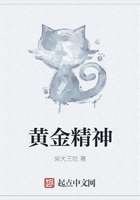 黄金精神在线阅读