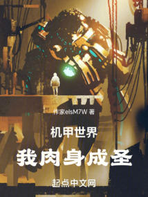 機(jī)甲世界,我肉身成圣