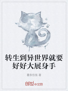 转生到异世界就要好好大展身手在线阅读
