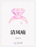 清风喃在线阅读