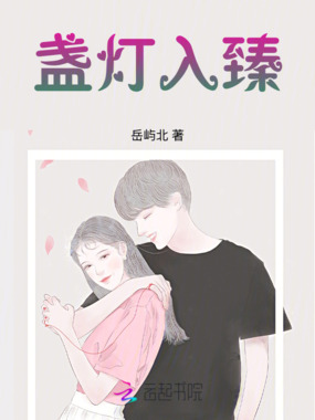 盏灯入臻在线阅读