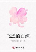 飛逝的白蝶在線閱讀