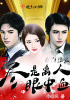 豪门强宠：尽是离人眼中血在线阅读