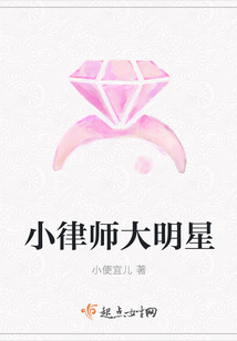 小律师大明星