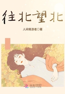 往北望北