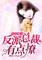 怦然婚动:反派总裁有点撩