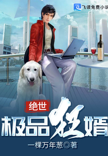 絕世極品狂婿