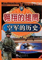 翱翔的雄鹰：空军的历史