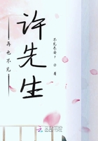 再也不見許先生在線閱讀