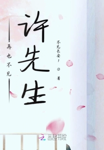 再也不見許先生
