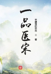 一品醫宋