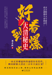 好看到爆的大清秘史