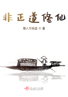 非正道修仙在线阅读