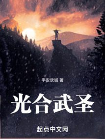 光合武圣 cover