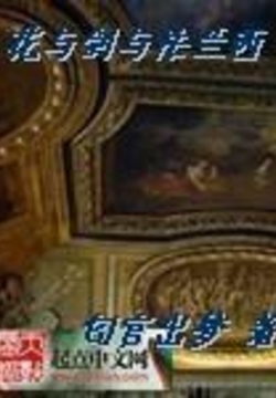 《花与剑与法兰西》封面