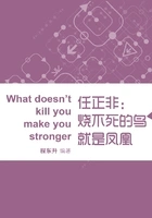 任正非:“烧不死的鸟就是凤凰”在线阅读