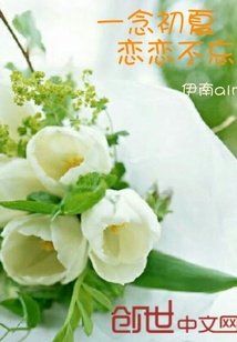 泗水慕楠