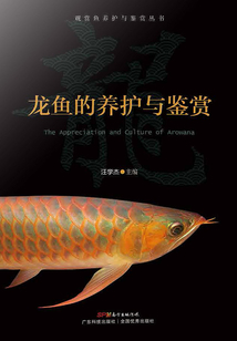 龍魚的養護與鑒賞