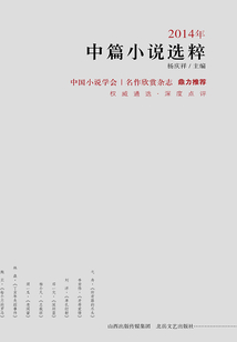 2014年中篇小說選粹