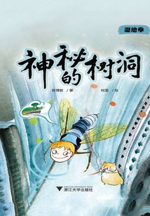 疯狂博物馆:神秘的树洞