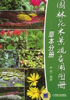 园林花木景观应用图册：草本分册