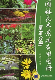 园林花木景观应用图册：草本分册
