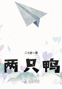 兩只鴨
