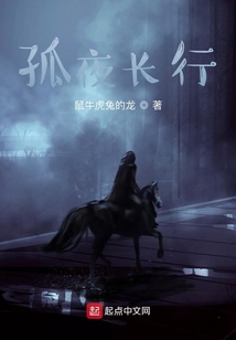 孤夜長(zhǎng)行