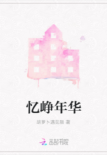 憶崢年華