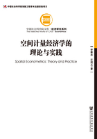 空间计量经济学的理论与实践在线阅读