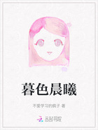 暮色晨曦在线阅读