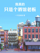 我真的只是个酒馆老板在线阅读
