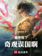 皇帝陛下:奇观误国啊!在线阅读