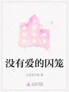没有爱的囚笼在线阅读