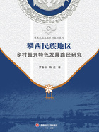 攀西民族地区乡村振兴特色发展路径研究在线阅读