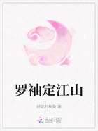 罗袖定江山在线阅读